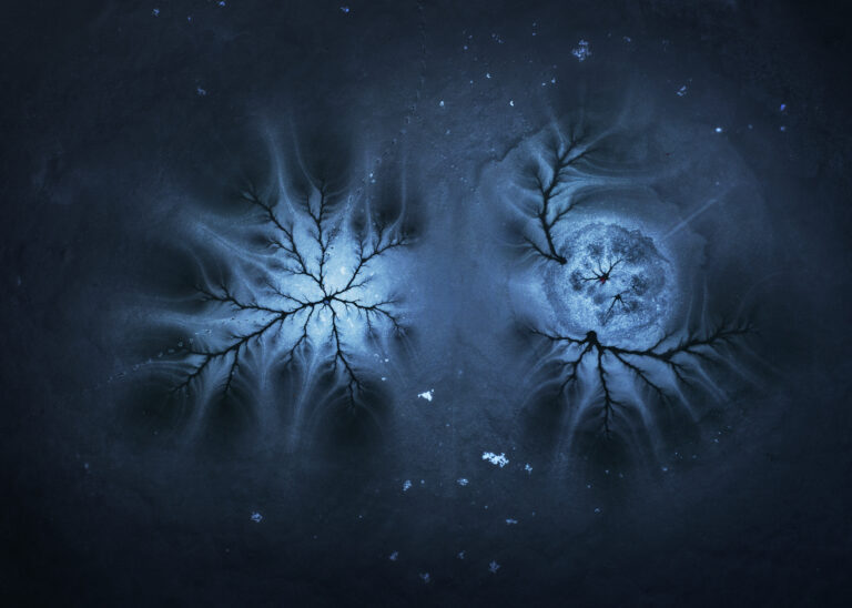 László Simán - mitosis